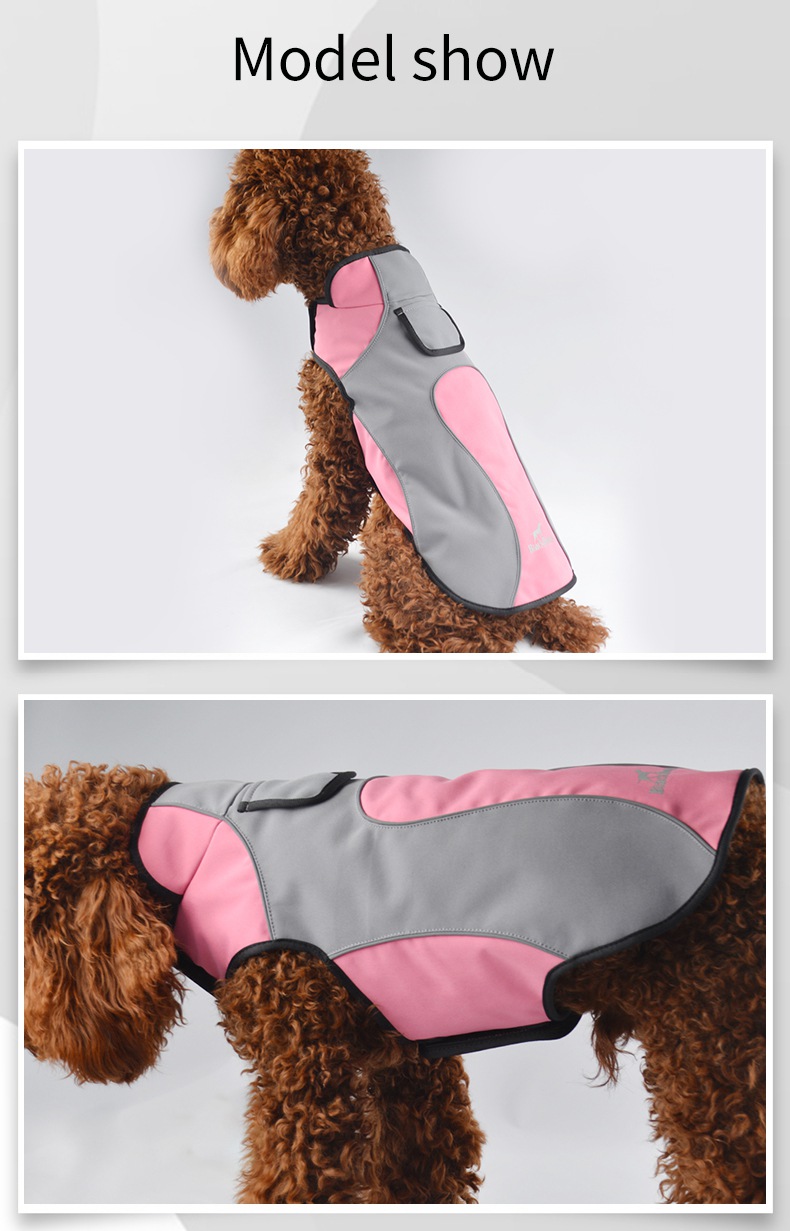 dog clothes to customize9.jpg